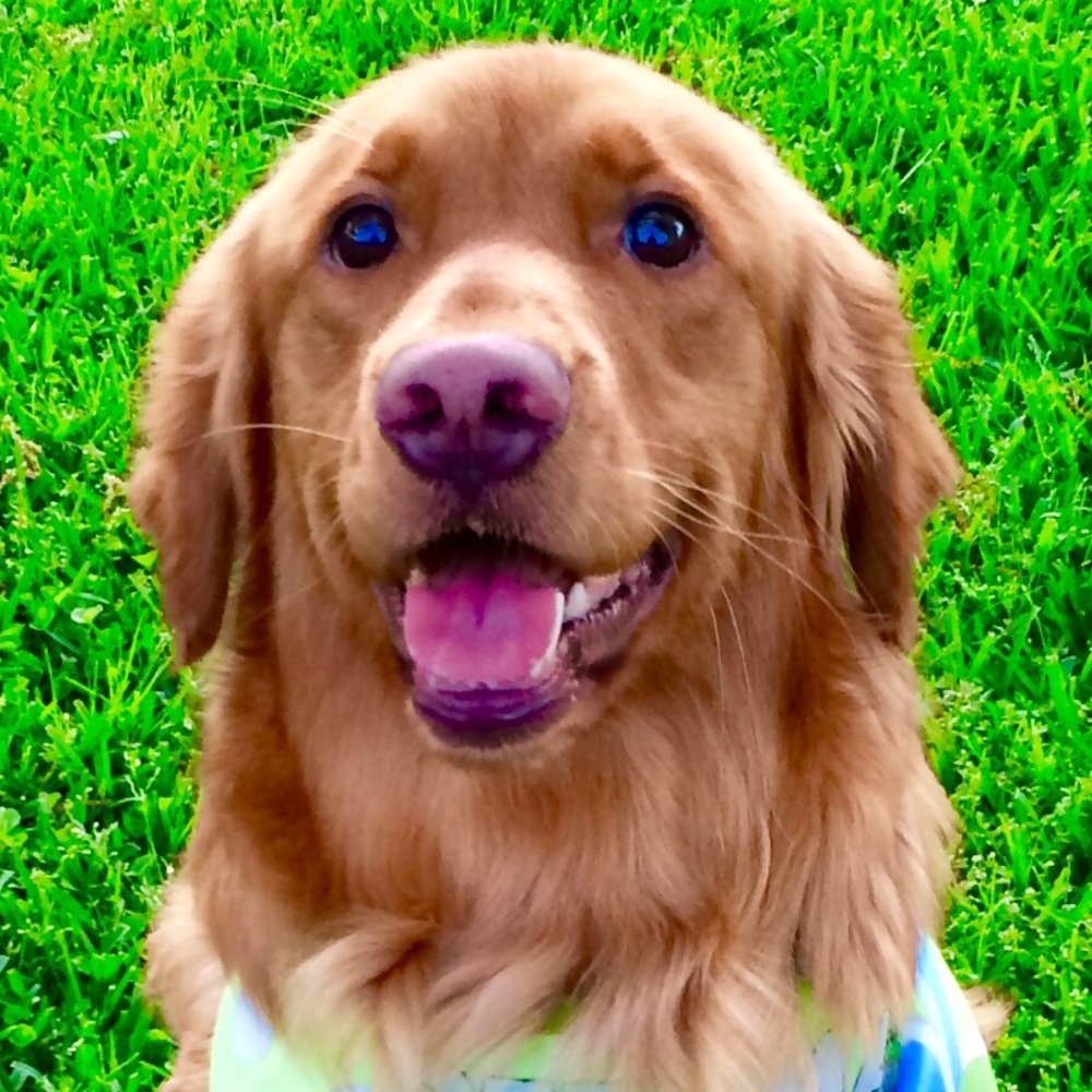 Meet your Posher, Nora